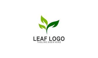 leaf logo vector. ecology leaf logo. vector