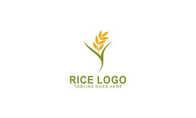 rice logo vector. organic rice