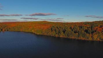 Sequenza video 4K del parco provinciale di algonquin, canada - volo sopra gli alberi prima del tramonto nell'ontario, canada.