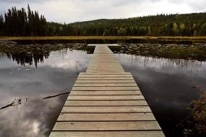 Dock and water lilies on lake in British Columbia photo