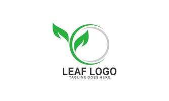 leaf logo vector. ecology leaf logo. vector