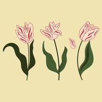 Set of hand drawn tulips flowers, modern flat illustration. vector