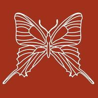 esbozar la silueta del contorno de un insecto mariposa. dibujo de línea de garabato. vector
