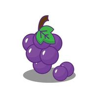 gráfico vectorial de ilustración de uvas de frutas, adecuado para el diseño con temas de frutas vector