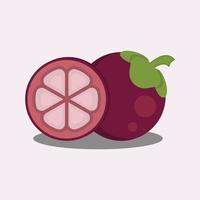 gráfico vectorial de ilustración de mangostán de frutas, adecuado para el diseño con temas de frutas vector