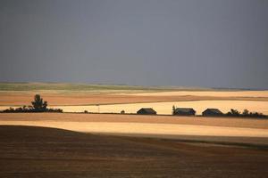 A Prairie summer scene photo