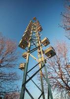 Blackbirds highrise bird houses at Gimli Manitoba photo