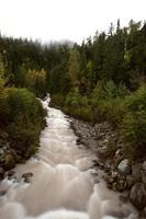 Argle Creek in British Columbia