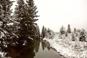 Winter day in the Cypress Hills of Saskatchewan photo
