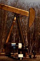 Oil pump near trees in Saskatchewan photo