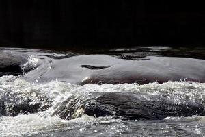 Rapids on Northern Manitoba river photo