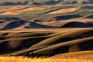 gran valle fangoso de saskatchewan foto