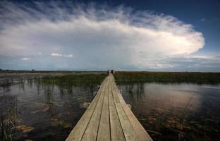 Boardwalk over water at Last Mountain Wildlife Refuge photo