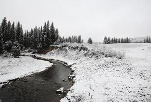 Winter day in the Cypress Hills of Saskatchewan photo