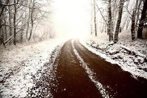 Ice fog in Cypress Hills Provincial Park of Saskatchewan photo