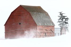 antiguo granero en invierno saskatchewan foto