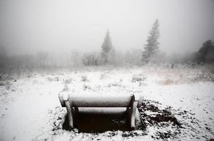 Ice fog in Cypress Hills Provincial Park of Saskatchewan photo