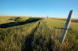 cercado de saskatchewan coulee foto