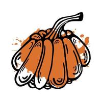 Pumpkin vector icon. Hand-drawn doodle. A contour of a vegetable with an abstract orange spot. Color drop on line art. Food sketch. Isolated illustration on a white background. Crop outline