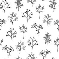 Seamless vector pattern with botanical elements. Flowers, wild herbs, medicinal plants on a white background. Hand drawn doodle, branch outline. Monochrome. A sketch of a twig with leaves and berries.