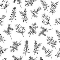 Seamless vector pattern with botanical elements. Hand drawn wild herb, medicinal plant, branch with leaves. Plants sketch on a white background. Doodle twigs. The outline of the flower.