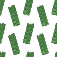 Seamless asparagus. Seamless pattern. Asparagus with white background. Hand drawn vector. Patterns for decoration. vector