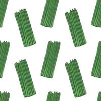 Seamless asparagus. Seamless pattern. Asparagus with white background. Hand drawn vector. Patterns for decoration. vector