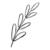 Plant Outline Illustration vector