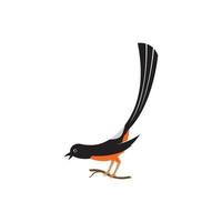 Murai bird illustration logo vector