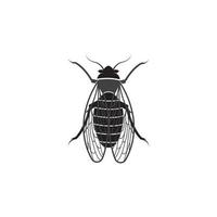 Cicada logo vector icon template