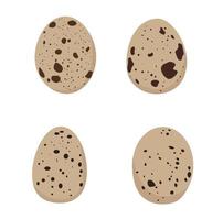 Quail eggs. Vector stock illustration. Isolated on a white background.