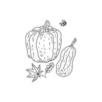 Pumpkins, autumn leaves, and a flying bee. Vector set. Illustration in Doodle style. Symbols of a cozy autumn and winter. Black outline isolated on a white background.