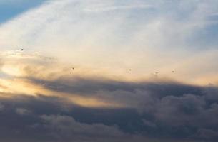 Flock of seagulls flying to the sunset behind the clouds photo