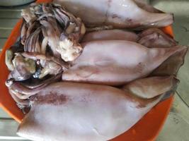 some squid on a plate ready to be cooked photo