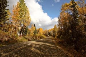 clouds and autumn leaves along British Columbia backroad photo