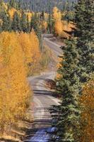 Autumn colored trees along mountain road in British Columbia photo