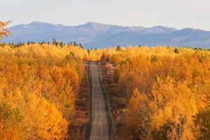 Autumn colored trees along road in British Columbia photo