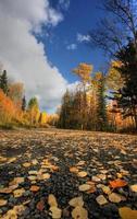 clouds and autumn leaves along British Columbia backroad photo