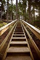 Wooden stairs  at Kitsumkalum Provincial Park photo