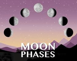 Phases of the moon for science education vector