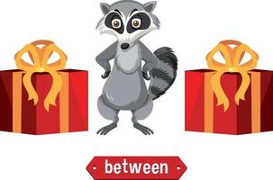 Prepostion wordcard design with raccoon between boxes vector