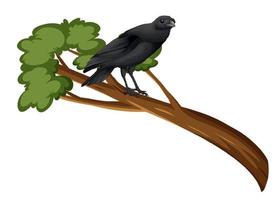 cuervo parado en la rama de un árbol vector