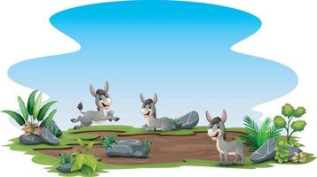 Group of donkey playing on the field vector