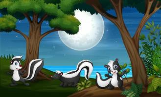 Three skunk in the forest at night vector