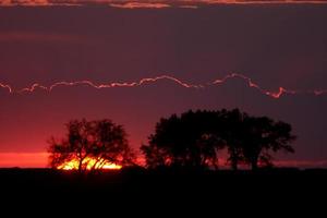 Sun setting behind trees photo