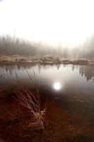 lago matutino brumoso en primavera saskatchewan foto