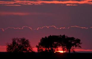 Sun setting behind trees photo