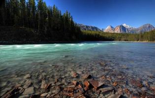 Athabasca River in Jasper National Park photo