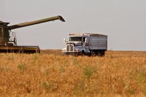 Saskatchewan harvest time photo