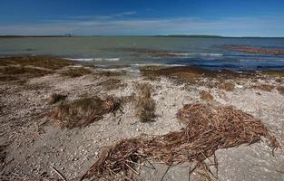 mudflats along Lake Manitoba shore photo